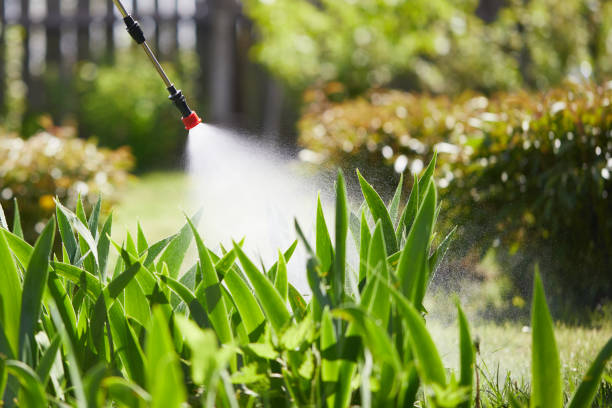 24/7 Emergency Ant Control experts in McLendon-Chisholm, TX