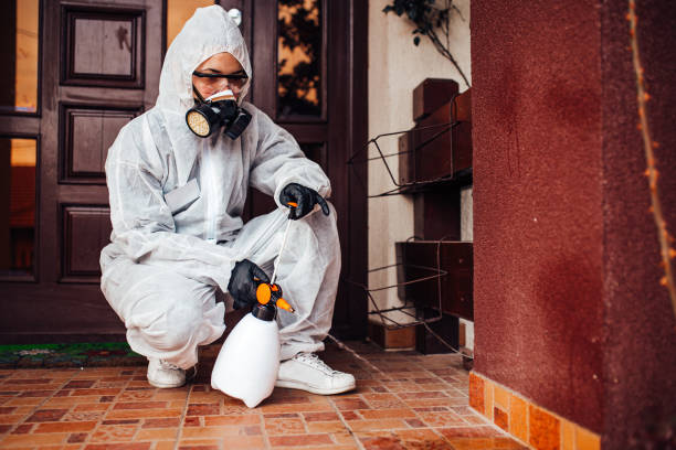 Reliable Ant Control contractor in McLendon-Chisholm, TX by Show Me Pest Control